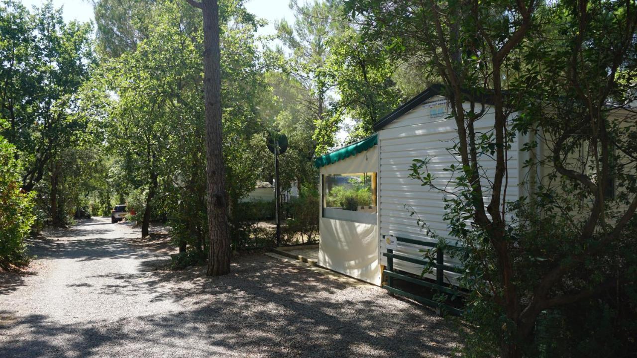 Chalets Met Buitenkeuken Op Camping Lei Suves - Joycasa Roquebrune-sur-Argens Exterior foto