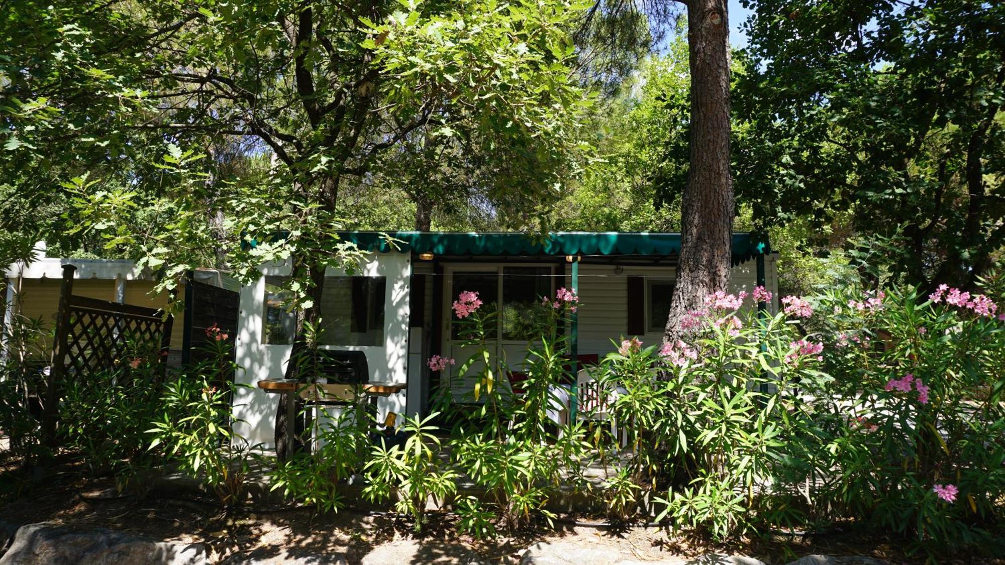 Chalets Met Buitenkeuken Op Camping Lei Suves - Joycasa Roquebrune-sur-Argens Cameră foto